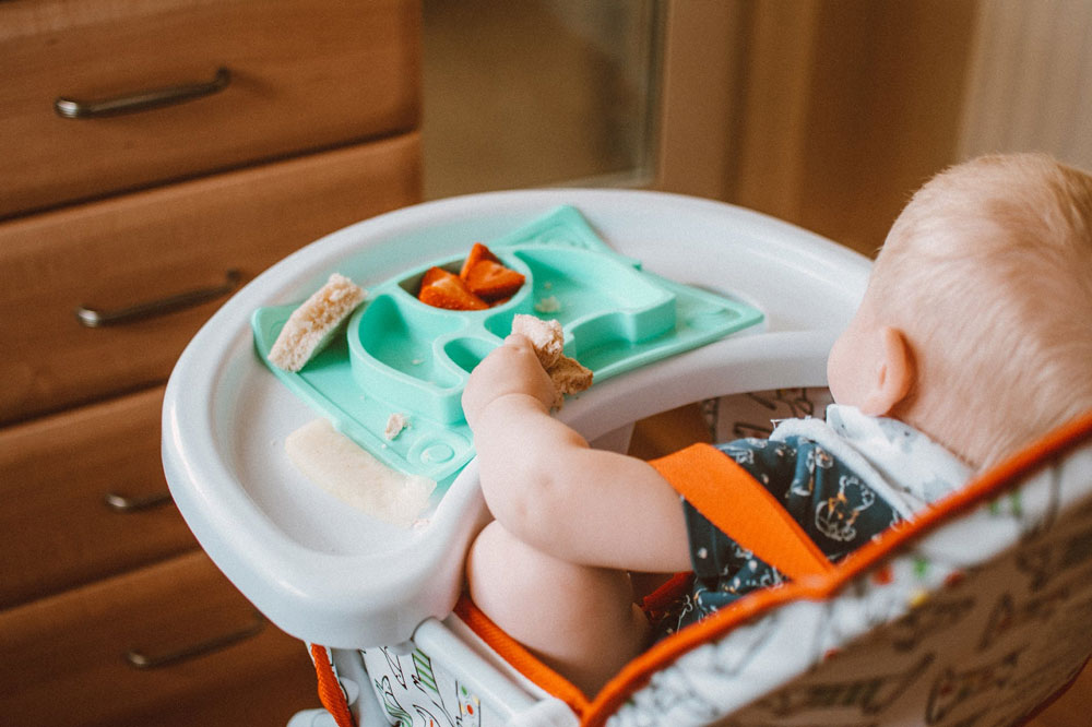  Baby Led Weaning