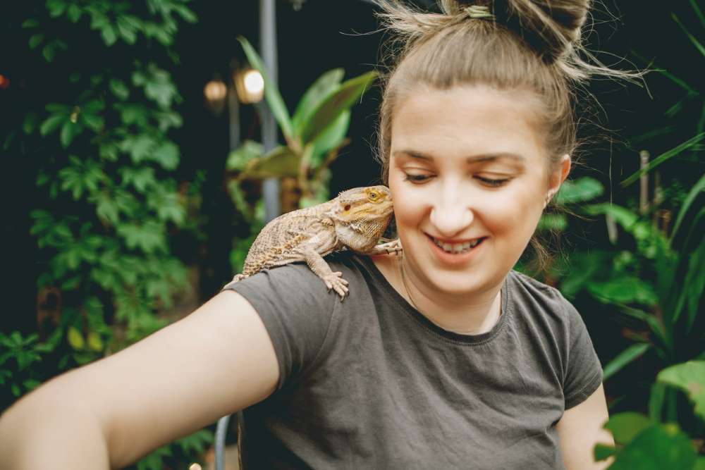 Deep Lizard pose с кольцевым захватом