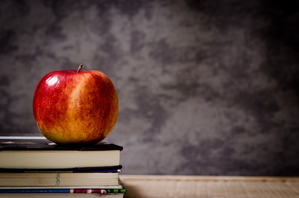 school apple chalkboard books