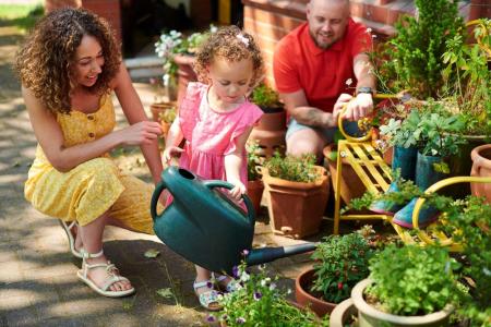 child friendly garden 