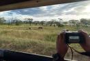 kenya vacation safari
