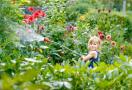 kid watering plants outdoors