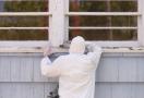 lead paint removal