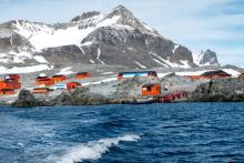 Travelling to Antarctica with Teenagers