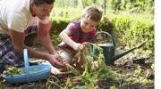 starting herb garden with kids
